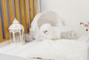 Gorgeous Teacup Pomeranian Pups- xxx-xxx-xxxx
