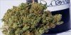 Medicated marimarijuana for sale