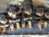 the most beautiful akc rottweiler puppies
