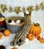 Fully Tested Savannah Kittens For Caring Homes