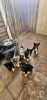 German Shepard Husky Mixed Puppies