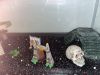 Turtles And Turtle Tank Decor *NEED GONE*