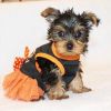 Adorable Yorkie PUPPPIES ready for Christmas gift