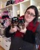 Precious Teacup Yorkie Puppies For New Homes