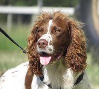 Emergency sell feel feee to contact me