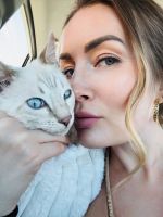 Alaska Hypoallergenic Bengal kittens