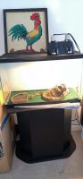 Ball Python Reptiles for sale in Jupiter, FL, USA. price: $160