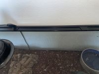 Ball python and cage