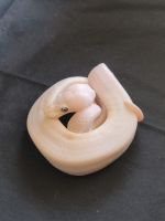 Bel (super lesser 100% het ghost possible pastel possible cinnamon)