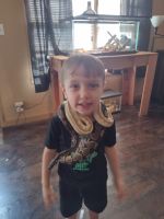 Two ball pythons for *** is a soul sucker