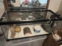 Ball python for sale!!