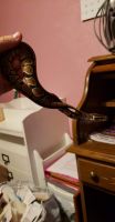 Ball python for sale