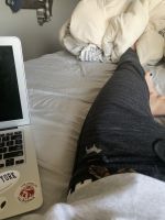 Ball Python For Sale