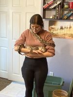 male and female phyton