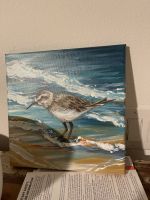 Bengal 9 months old Male