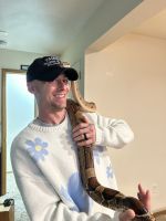 Boa constrictor Reptiles for sale in Hope Mills, NC, USA. price: $350