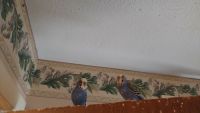 Budgerigar Birds for sale in Stow, OH, USA. price: $50