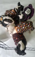 Bull Terrier Puppies for sale in Omaha, NE, USA. price: $600