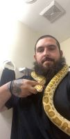 Burmese Python Reptiles for sale in Allentown, PA, USA. price: $400