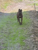 Good things come in small packages