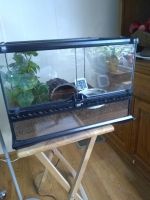 Cane Toad Amphibians for sale in Toms River, NJ, USA. price: $50