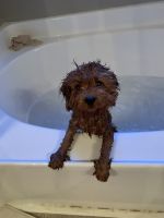 River the sweetest boy ever!!