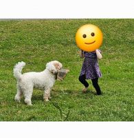 Not good with kids, great with adults!