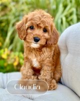 The Sweetest Things in Life Take Time.