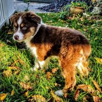 christinebroughton16