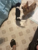 She adorable kid friendly