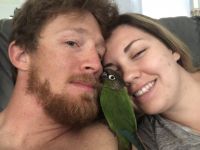 8yo Female GCC Family Pet