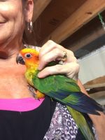 Dont’t get scammed