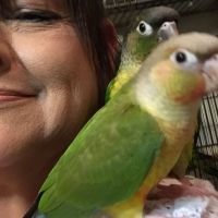 Dont’t get scammed