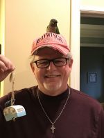 Conure - free to good home