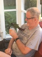 Conure - free to good home