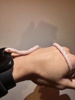 Albino snow corn snake