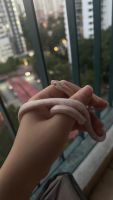 Pink Cornsnake For Sale