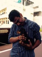 Dachshund Puppies for sale in hyderabad, Ambavaram, Andhra Pradesh 523112, India. price: NA