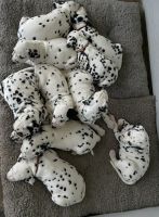 Dalmatian Puppies for sale in Singleton, New South Wales. price: $2,000