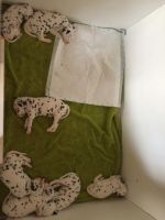 Dalmatian Puppies for sale in Mississauga, ON, Canada. price: $623