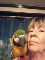 Dottie  Allen Denton