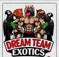 DreamTeamExotics