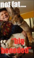 Flemish Giant Rabbits for sale in Modesto, CA, USA. price: $100