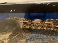 Gaboon viper Reptiles for sale in Fort Worth, TX 76123, USA. price: $300