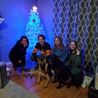 German Shepherd Puppies for sale in 16600 Jessica Dr, Southgate, MI 48195, USA. price: $1,000