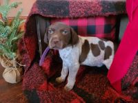 Meet Ruby ! Just in time for Christmas