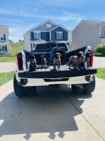 German Shorthaired Pointer Puppies for sale in Georgetown, Kentucky. price: $800