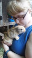 Japanese Hare Rabbits for sale in Durham, NC, USA. price: $25