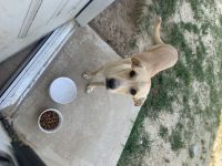 Just want her to be happy & loved unconditionally