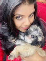 Lhasa Apso Puppies for sale in Wagholi, Pune, Maharashtra 412207, India. price: 15 INR